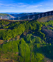 Wind turbines on ridge of hill, Beech (Fagus sp) forest and fields bordered by stone walls on hillside below. Aerial view in evening light. Portillo de la Sia, Soba Valley, Valles Pasiegos, Cantabria,...