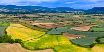 Patchwork of agricultural fields including Oilseed rape (Brassica napus) with hills in background, high angle view. Cuestahedo, Merindad de Montija, Burgos, Castile and Leon, Spain. June 2019.