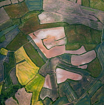 Agricultural landscape, mosaic of fields, aerial view. Cuestahedo, Merindad de Montija, Burgos, Castile and Leon, Spain. June 2019.