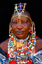 Maasai woman adorned with traditional bead work and colour glass perls around her neck, head portrait. Masai Mara National Reserve, Kenya.