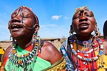 Maasai women singing and dancing in traditional dress and adorned with bead work, Masai Mara National Reserve, Kenya.