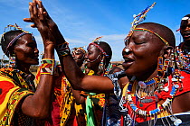 Group of Maasai women singing and dancing in traditional dress and adorned with bead work, Masai Mara National Reserve, Kenya.