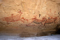 Prehistoric rock art with depiction of Pronghorn antelope. Boca de San Julio cave, San Francisco Sierra, El Vizcaino Biosphere Reserve, Baja California Peninsula, Mexico.