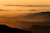 Hills silhouetted in evening mist. Sierra de San Pedro Martir National Park, Baja California Peninsula, Mexico. 2011.