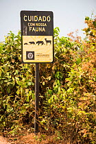 Road sign on the Transpantaneira route warning drivers to watch out for wildlife. Mato Grosso , Brazil. 2017.
