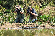 Two wildlife photographers taking photograph of Crocodilian. Pantanal, Mato Grosso, Brazil.