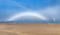 Fog bow in the early morning, Sea of Okhotsk, Russia.
