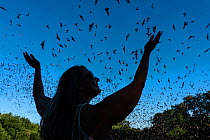 Woman with arms in air enjoying emergence of millions of Mexican free-tailed bats (Tadarida brasiliensis) at dusk. Bracken Bat Cave, San Antonio, Texas. June 2016.