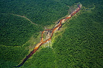 Aerial view Bekalikali Bai,Salonga National Park.  Bais, or forest clearings, offer open space to congregate and access to water for elephants and other animals. Salonga National Park, Democratic Repu...