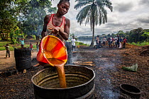 Woman pouring palm oil into a barrel to simmer down. This is truly sustainable palm oil production. The production is done on a very small scale, within a local community. People come and buy in small...