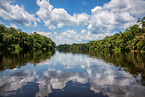 Luilaka River with clouds reflected in the surface of the water,   Salonga National Park is on the left bank. Democratic Republic of the Congo.