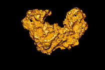 Gold nugget, Western Australia, Australia.
