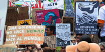 Protestors with placards during &#39;Fridays for the Future&#39; climate change protest. Paseo de la Reforma Avenue, Mexico City, Mexico. September 2019.