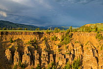 Calcite Springs Overlook, view of Grand Canyon of Yellowstone in evening light. Yellowstone National Park, Wyoming, USA. June 2018.