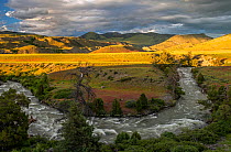 Meander of Gardiner River with grassland and hills in background, in evening light. Yellowstone National Park, Wyoming, USA. June 2018.