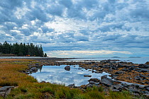 Rocky coastline and Atlantic ocean at dawn, coniferous forest along coast. Acadia National Park, Maine, USA. October 2013.