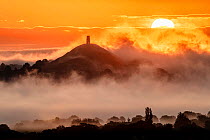 Glastonbury Tor at sunrise surrounded by early morning mist. View from Walton Hill, Somerset, England, UK. June 2019.