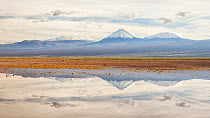 Licancabur volcano and surrounding mountains reflected in waters of a severe flood caused by climate change. Los Flamencos National Reserve, Antofagasta , Chile. February 2019.
