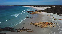 Aerial tracking shot of a beach, Bay of Fires Conservation Reserve, Eddystone Point, Tasmania, Australia, 2018.