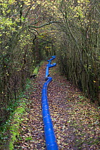 Pipe carrying water back into the River Don to alleviate flooding from Fishlake, South Yorkshire, UK. November 2019.