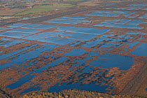 Aerial view of Hatfield Moor National Nature Reserve, rewetted rewilded peatland, managed by Natural England having been used for commercial peat extraction in the past, South Yorkshire, UK. November...
