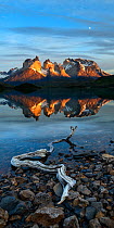 Shore of Lago Pehoe at sunrise, Central Massif and towers of Torres del Paine National Park reflected in lake. Patagonia, Chile. November 2018.