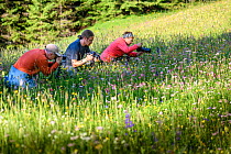 Students practicing macro flower photography in Alpine flower meadow. Tyrol, North Tyrol, Austria. June 2018.