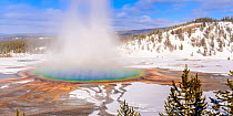 Steam rising from Grand Prismatic thermal pool in snow covered landscape. Midway Geyser Basin, Yellowstone National Park, USA. February 2019.