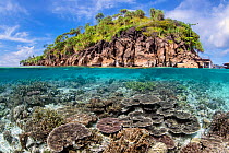 Split level image of a hard coral garden (Acropora spp.) in front of a tropical island. Misool, Raja Ampat, West Papua, Indonesia. Misool Marine Protected Area. Ceram Sea. Tropical West Pacific Ocean.