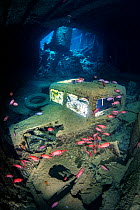 A British World War II Ford (Fordson) WOT3 truck inside the lower level of the hold (hold 2, port side) of the SS Thistlegorm wreck, with Red Sea soldierfish (Myripristis murdjan). Sha&#39;ab Ali, Sin...