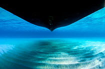 Hull of a boat in shallow water, over sand ripples. North Sound, Grand Cayman, Cayman Islands, British West Indies. Caribbean Sea