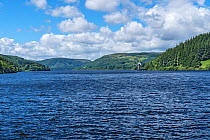 Lake Vyrnwy reservoir, view to north west with straining tower and wooded hills. Llanwddyn, Montgomeryshire, Powys, Wales, UK. June 2019.