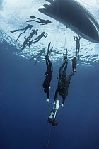 Three freedivers training with aid of sled, group of divers at surface near boat. Tenerife, Canary Islands. 2015.