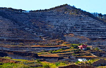Charred hillside and habitat destruction caused by forest fire. Erjos, Tenerife, Canary Islands.