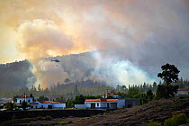 Helicopter flying through clouds of smoke from Canary Island pine (Pinus canariensis) forest fire, houses in foreground. Ifonche, Tenerife, Canary Islands, 2012.