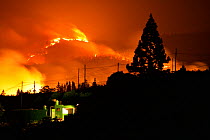 Electricity wires and Canary Island pine forest (Pinus canariensis) silhouetted by forest fire. Ifonche, Tenerife. Canary Islands, 2012.