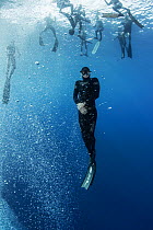 People learning to freedive in Atlantic Ocean. Tenerife, Canary Islands. 2015.
