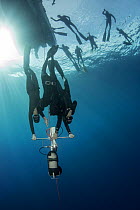 Divers learning to freedive with sled, more divers at surface. Tenerife, Canary Islands. 2015.