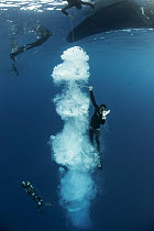 Diver learning to freedive with sled in Atlantic Ocean. Tenerife, Canary Islands. 2015.