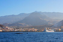 Bryde&#39;s whale (Balaenoptera brydei) fin at surface in coastal waters, coastal resort and hills in background. Punta Rasca, Tenerife, Canary Islands.