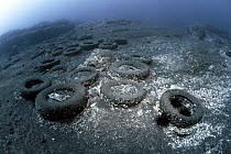 Marine pollution, - rubber car tyres on seabed, Canary Islands. 2014.