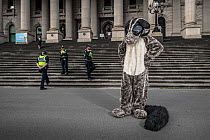 A protester dressed as a Greater glider (Petauroides volans) from GECO (Goongerah Environment Centre Office) protesting against logging in East Gippsland on the steps of the Victorian Parliament, Melb...
