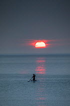 Man paddleboarding at sunset, returning from whale watching. Vrangel Bay, Primorsky Krai, Russia. August 2019.