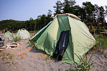 Diving fins resting against tent on beach with coniferous forest in background. In Vrangel Bay where Bowhead whale (Balaena mysticetus) congregate in summer. Primorsky Krai, Russia. August 2019.