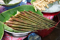 Bamboo (Bambusidae) shoots prepared for sale, on market stall. Bangkok, Thailand.