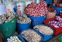 Onions, Garlic and Shallots (Allium spp) in plastic baskets on market stall, Bangkok food market, Thailand. 2015.