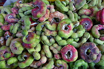 Manila tamarind (Pithecellobium dulce) seedpods for sale at food market, Bangkok, Thailand.