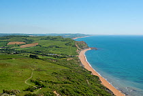 View from Golden Cap, looking east across National Trust land to Seatown, West Bay and Chesil Beach. Jurassic Coast, Dorset, England, UK. May.
