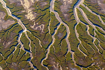 Patterns in the tidal  flats of the delta where the delta is swept by tidal encroachment from the Gulf of California. Evidence of the fresh water flow is observable as plant life turns green. Colorado...