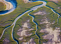 Patterns in the tidal  flats of the delta where the delta is swept by tidal encroachment from the Gulf of California. Evidence of the fresh water flow is observable as plant life turns green. Colorado...